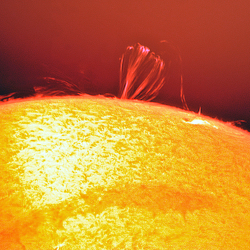 Sonne