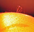 Sonne